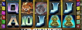 Bild von Tomb Raider Slot Spiel